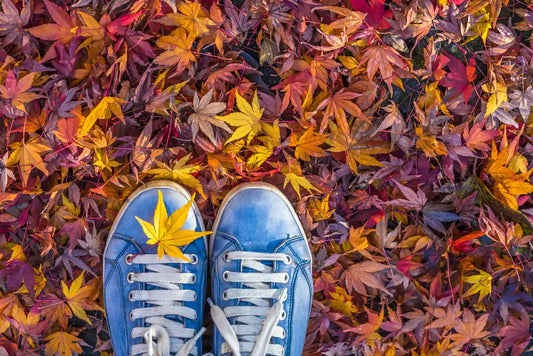 Concept of seasonal footwear with shoes and dried leaves
